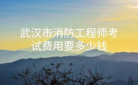 武漢市消防工程師考試費用